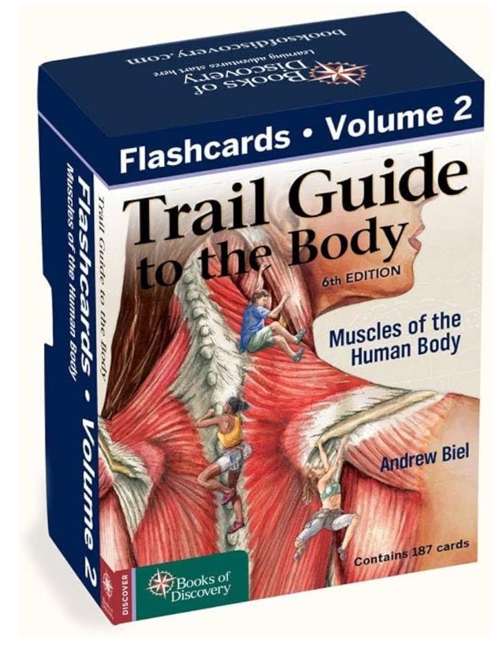 Trail Guide to the Body Vol 2 Flashcards
